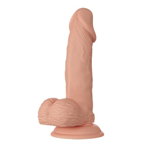 DILDO BEAUTIFUL ZEBULON