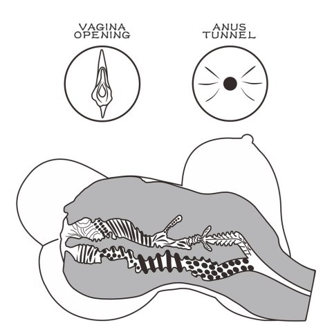 MASTURBATOR STREETGIRL'S #6