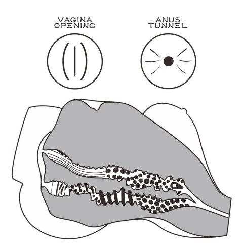 MASTURBATOR STREETGIRL'S #7