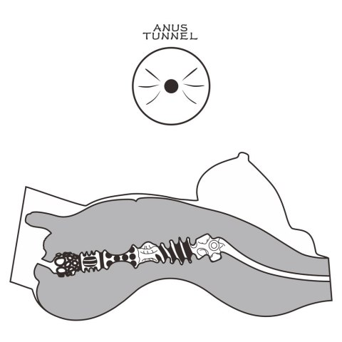 MASTURBATOR STREETGIRL'S #8