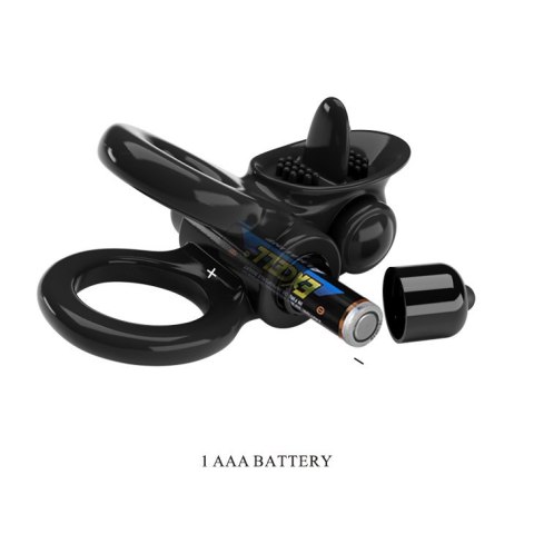 PRETTY LOVE PASSIONATE RING