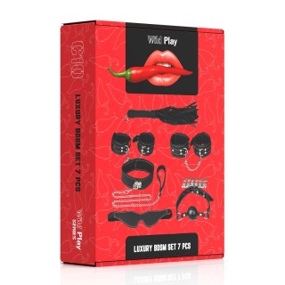 LUKSUSOWY ZESTAW BDSM 7 PRODUKTÓW EROSPACE WILD PLAY C10