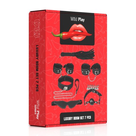 LUKSUSOWY ZESTAW BDSM 7 PRODUKTÓW EROSPACE WILD PLAY C10