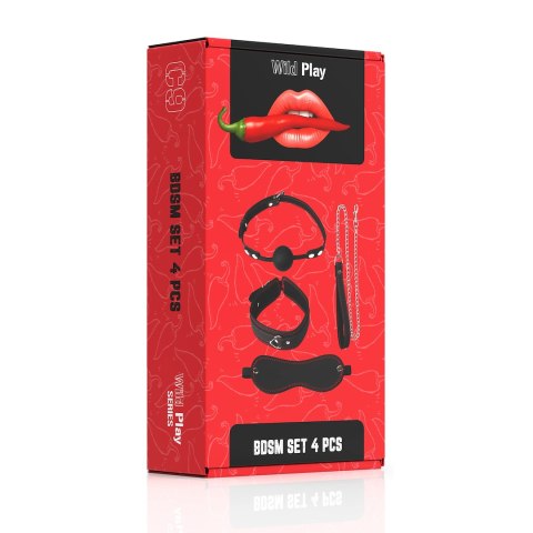 ZESTAW BDSM 4 PRODUKTÓW EROSPACE WILD PLAY C9
