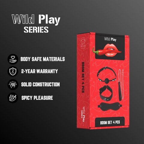 ZESTAW BDSM 4 PRODUKTÓW EROSPACE WILD PLAY C9