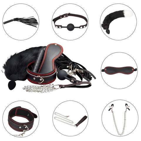 ZESTAW BDSM 7 PRODUKTÓW EROSPACE WILD PLAY C8
